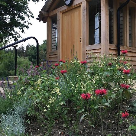 South Downs Eco Lodge & Camping East Meon Экстерьер фото