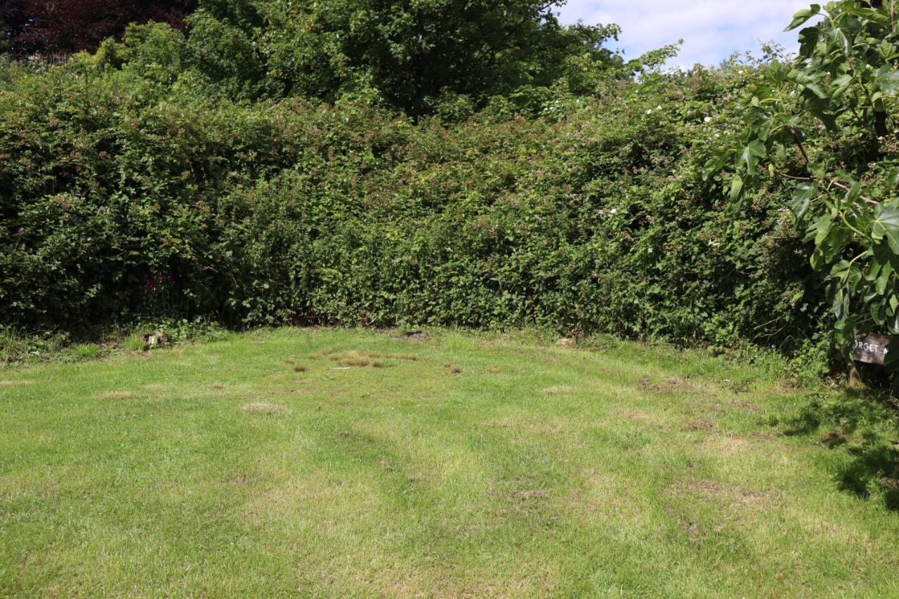 South Downs Eco Lodge & Camping East Meon Экстерьер фото