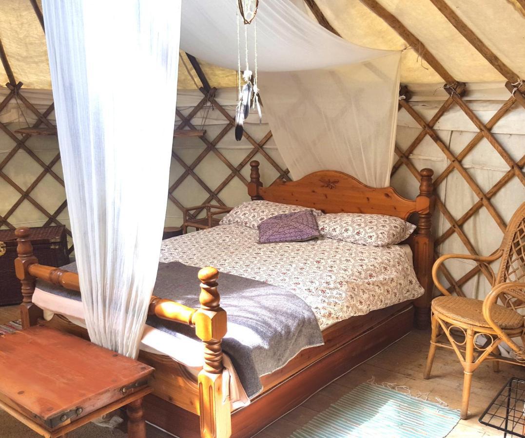 South Downs Eco Lodge & Camping East Meon Экстерьер фото