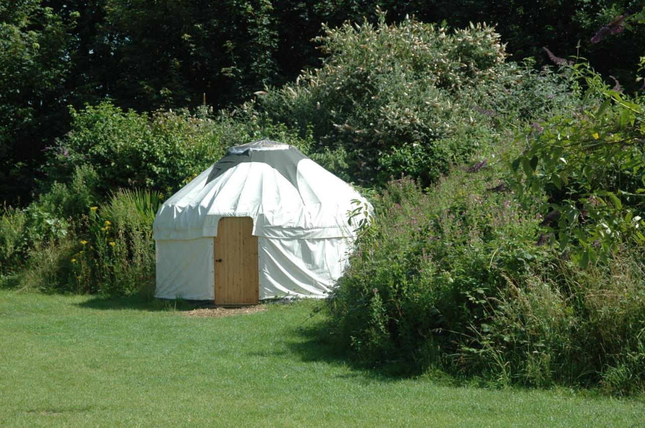South Downs Eco Lodge & Camping East Meon Экстерьер фото