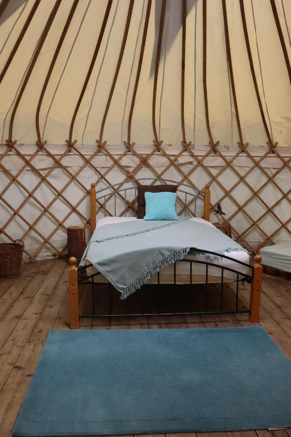 South Downs Eco Lodge & Camping East Meon Экстерьер фото