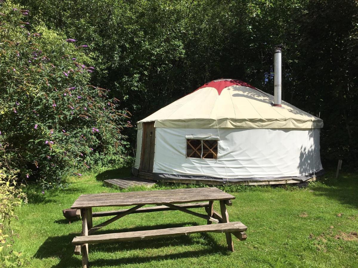 South Downs Eco Lodge & Camping East Meon Экстерьер фото
