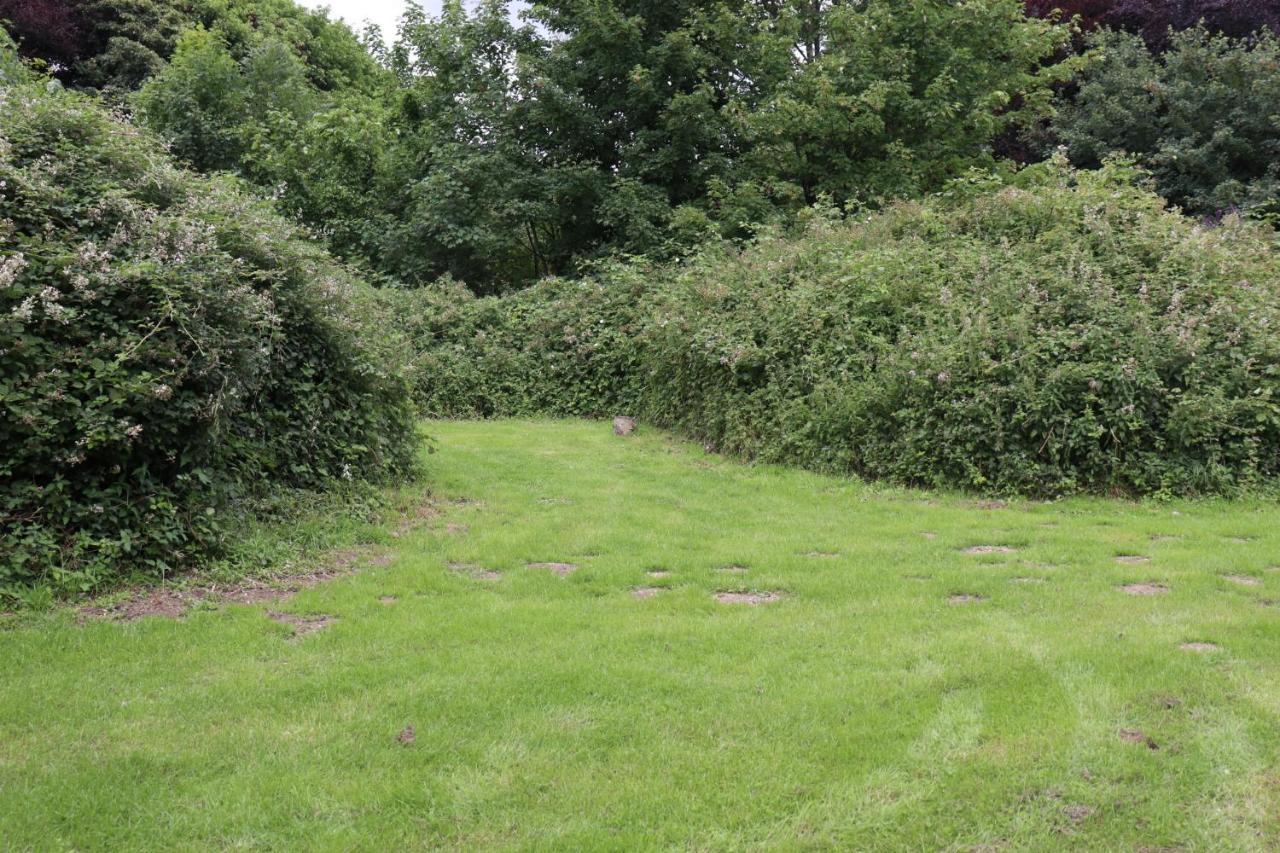 South Downs Eco Lodge & Camping East Meon Экстерьер фото