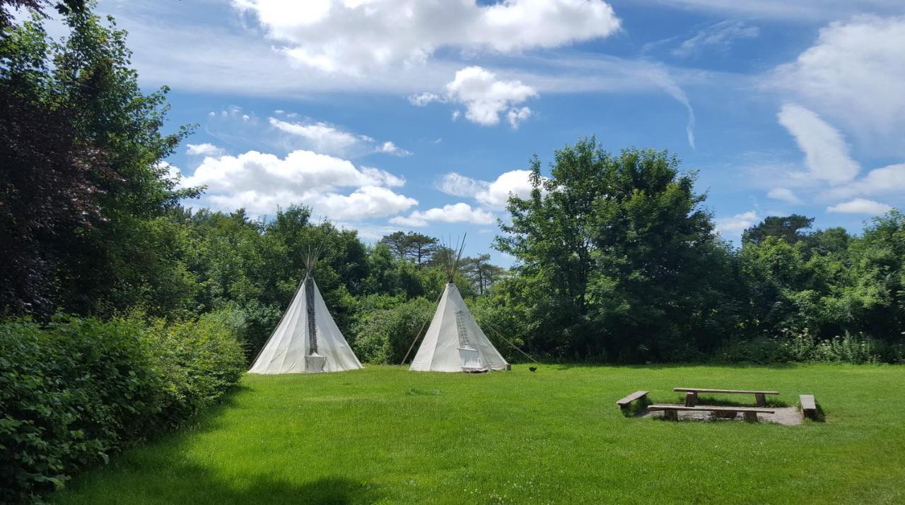 South Downs Eco Lodge & Camping East Meon Экстерьер фото