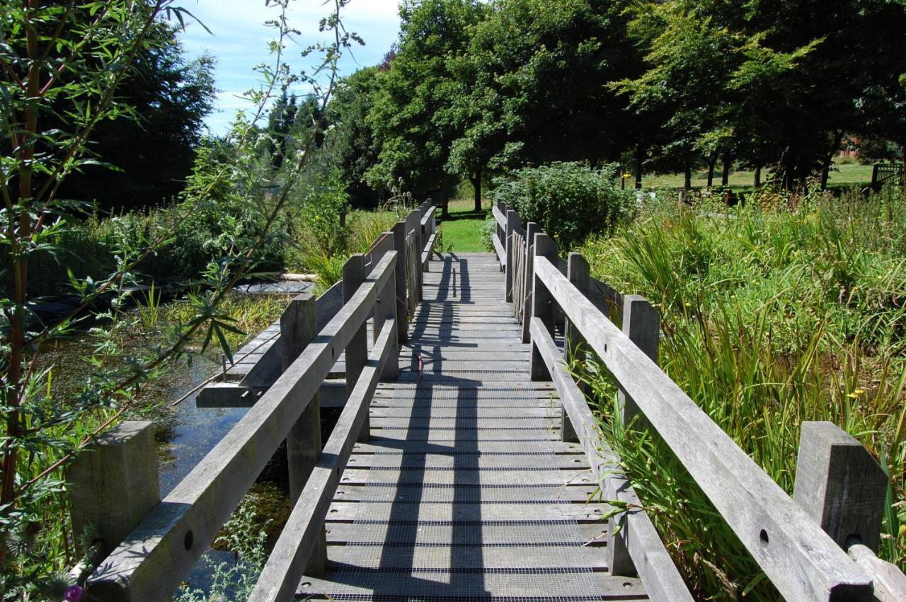 South Downs Eco Lodge & Camping East Meon Экстерьер фото