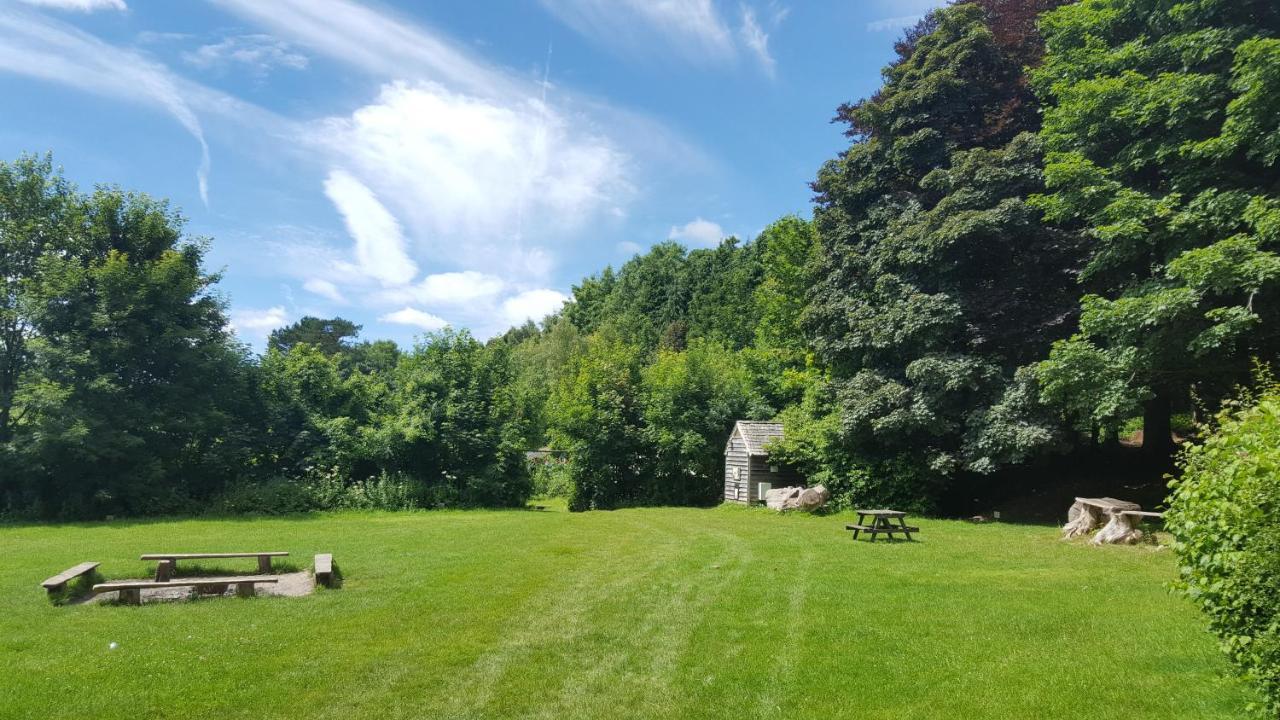 South Downs Eco Lodge & Camping East Meon Экстерьер фото