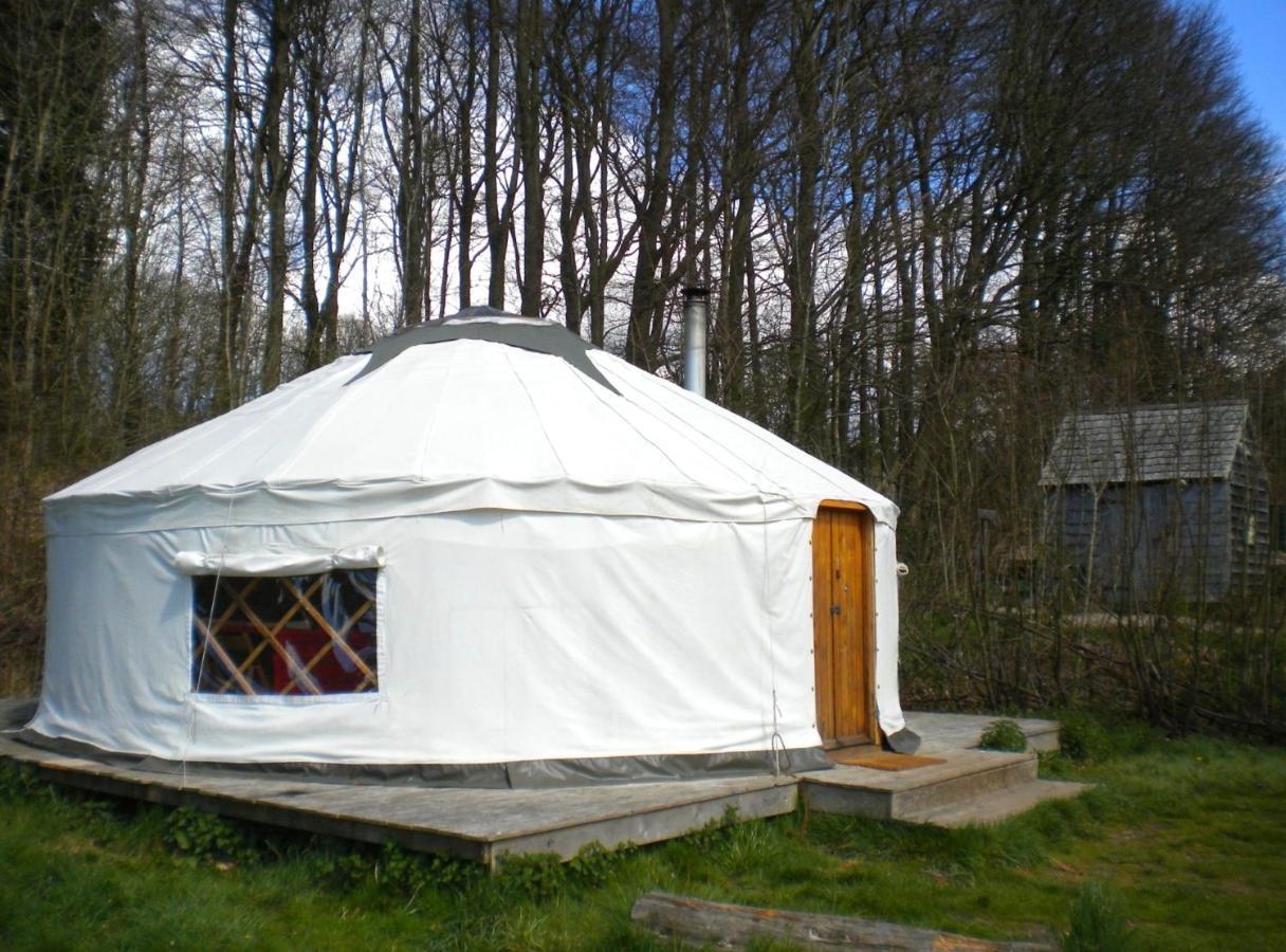 South Downs Eco Lodge & Camping East Meon Экстерьер фото