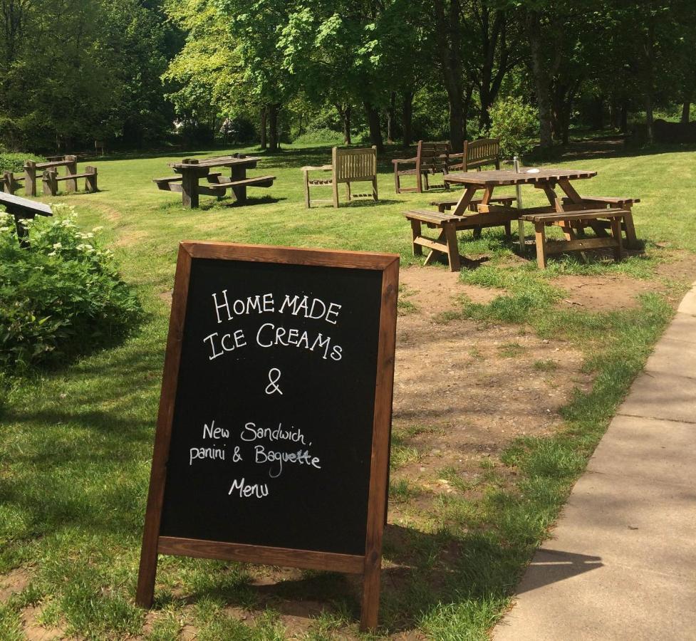 South Downs Eco Lodge & Camping East Meon Экстерьер фото