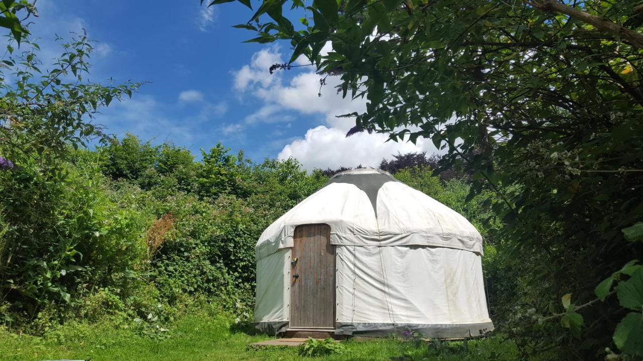 South Downs Eco Lodge & Camping East Meon Экстерьер фото