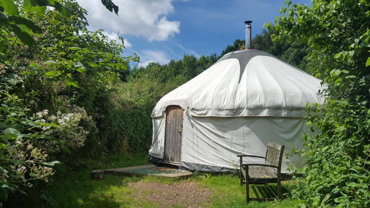 South Downs Eco Lodge & Camping East Meon Экстерьер фото