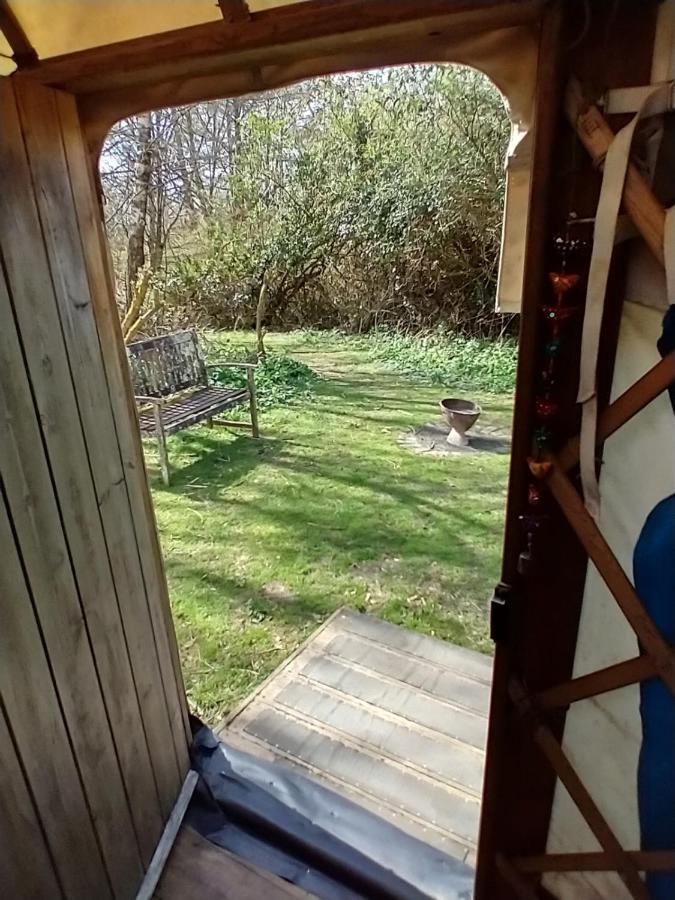 South Downs Eco Lodge & Camping East Meon Экстерьер фото