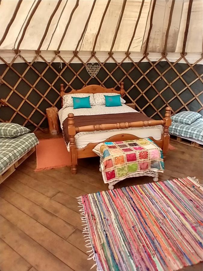 South Downs Eco Lodge & Camping East Meon Экстерьер фото