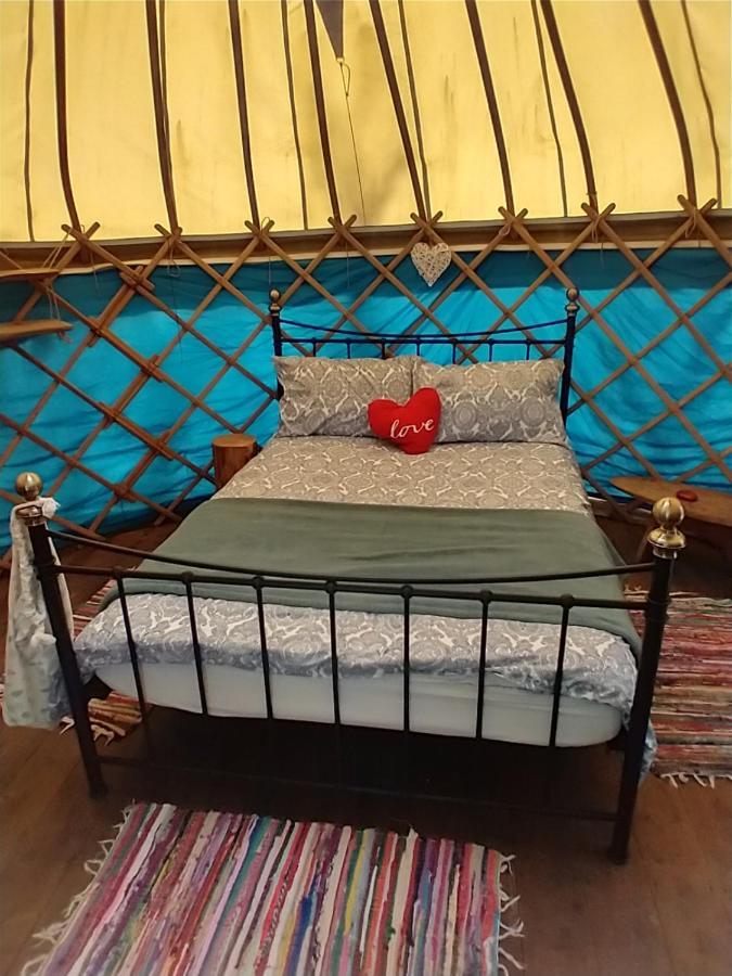 South Downs Eco Lodge & Camping East Meon Экстерьер фото